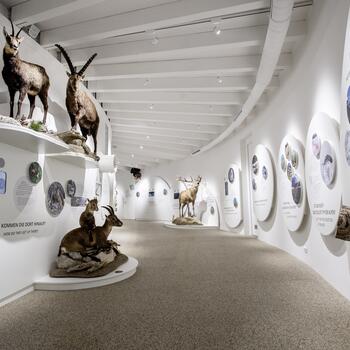 Nationalpark Besucherzentrum Mallnitz