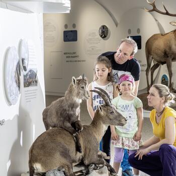 Nationalpark Besucherzentrum Mallnitz