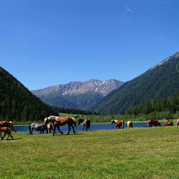 Stappitzersee