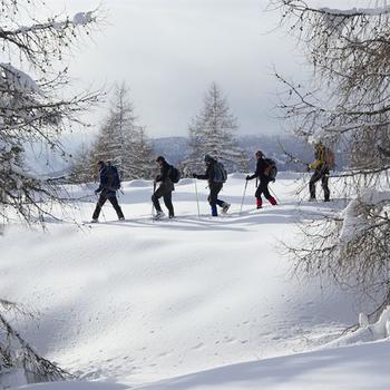 Schneeschuhwandern