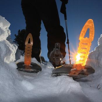 Schneeschuhtrekking im Seebachtal