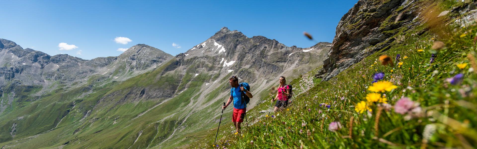 Der Tauernhöhenweg