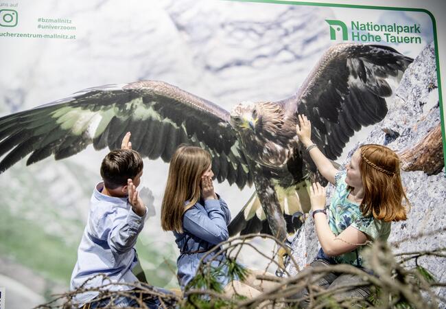 Nationalpark Besucherzentrum Mallnitz